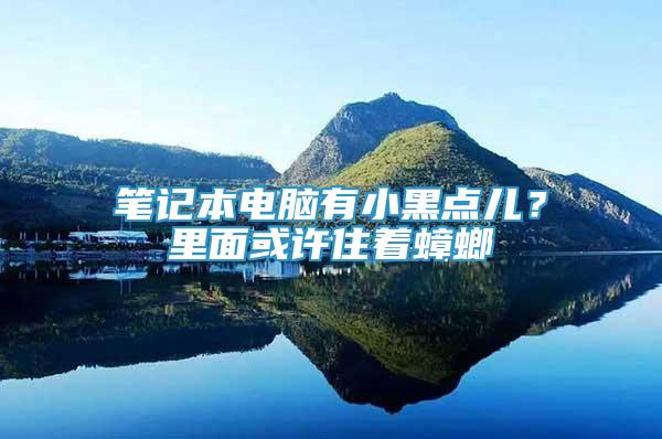 筆記本電腦有小黑點(diǎn)兒？里面或許住著蟑螂