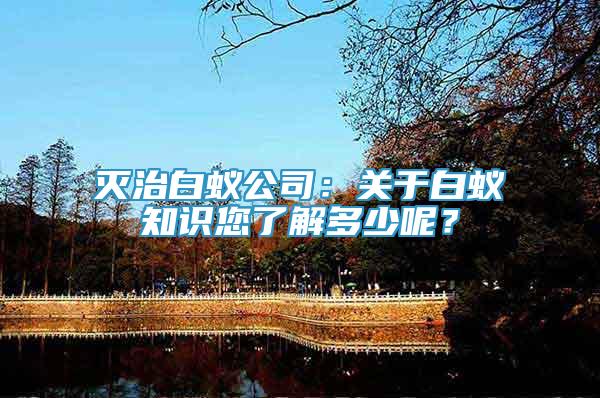 滅治白蟻公司：關(guān)于白蟻知識您了解多少呢？