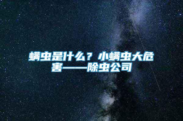 螨蟲是什么？小螨蟲大危害——除蟲公司