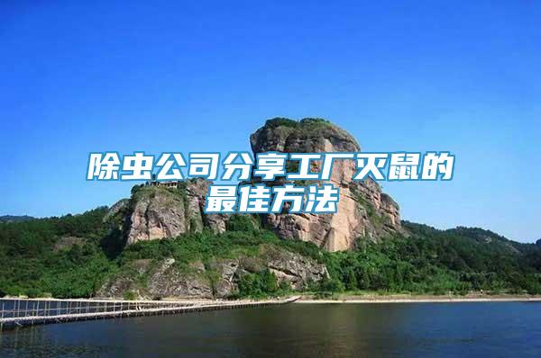 除蟲公司分享工廠滅鼠的最佳方法