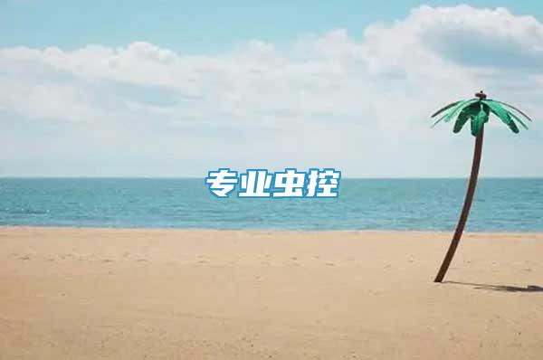 專業(yè)蟲(chóng)控
