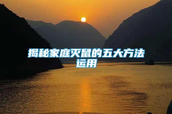 揭秘家庭滅鼠的五大方法運(yùn)用
