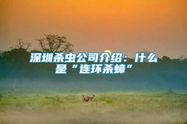 深圳殺蟲公司介紹：什么是“連環(huán)殺蟑”