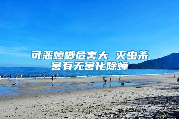 可惡蟑螂危害大 滅蟲殺害有無害化除蟑