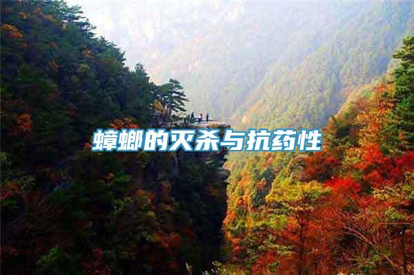 蟑螂的滅殺與抗藥性