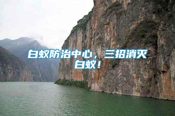 白蟻防治中心，三招消滅白蟻！