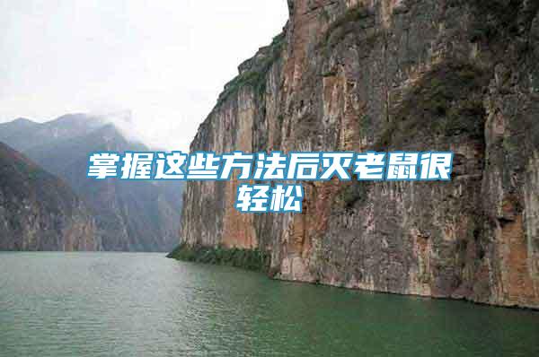 掌握這些方法后滅老鼠很輕松