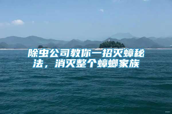 除蟲(chóng)公司教你一招滅蟑秘法，消滅整個(gè)蟑螂家族