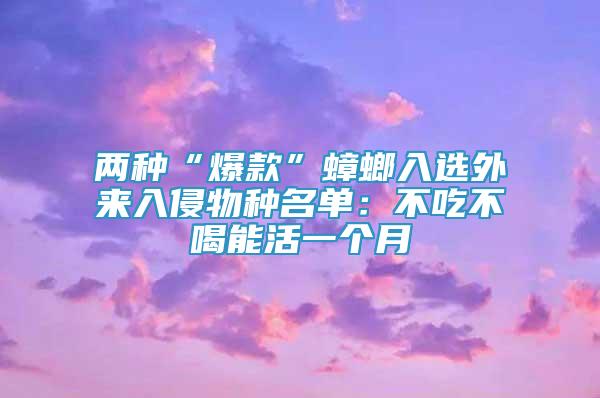 兩種“爆款”蟑螂入選外來入侵物種名單：不吃不喝能活一個月