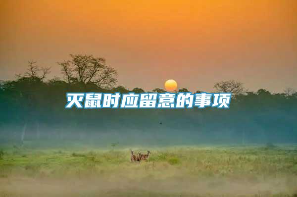滅鼠時(shí)應(yīng)留意的事項(xiàng)