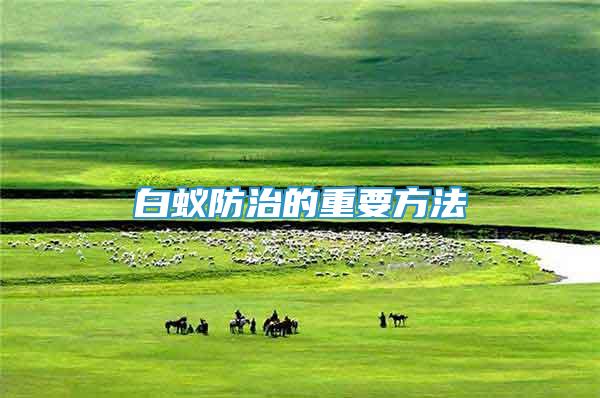 白蟻防治的重要方法