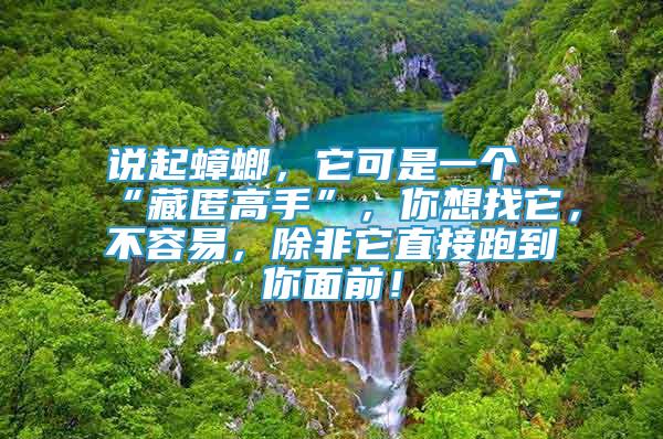 說起蟑螂，它可是一個“藏匿高手”，你想找它，不容易，除非它直接跑到你面前！
