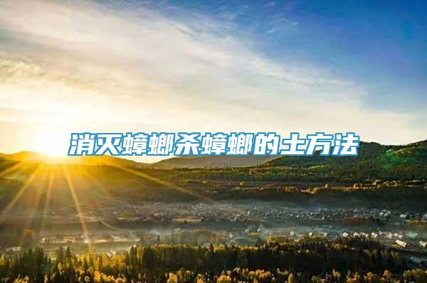 消滅蟑螂殺蟑螂的土方法