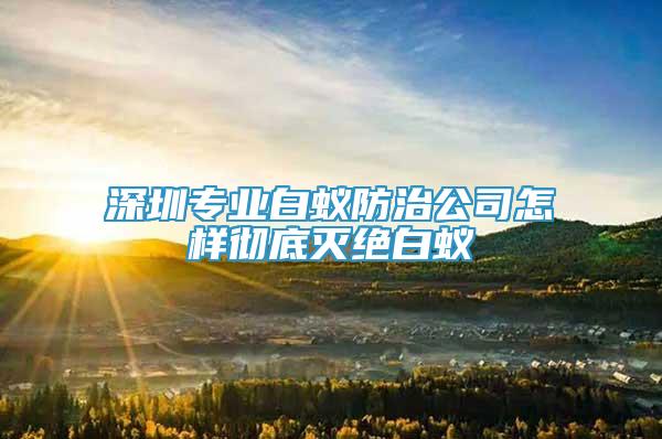 深圳專(zhuān)業(yè)白蟻防治公司怎樣徹底滅絕白蟻