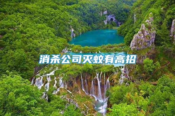 消殺公司滅蚊有高招