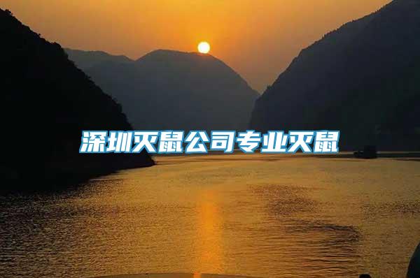 深圳滅鼠公司專業(yè)滅鼠
