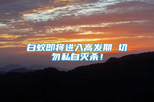 白蟻即將進(jìn)入高發(fā)期 切勿私自滅殺！