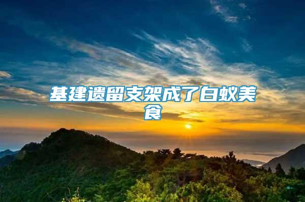 基建遺留支架成了白蟻美食
