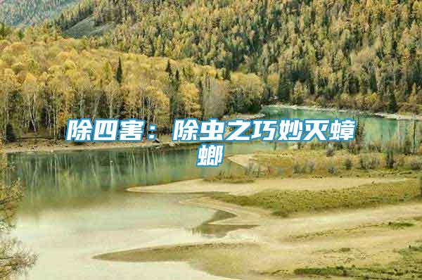 除四害：除蟲之巧妙滅蟑螂
