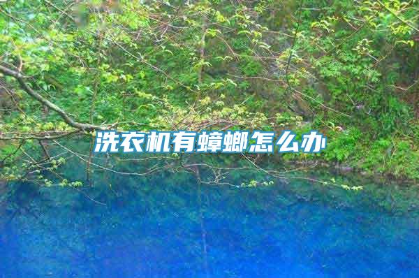 洗衣機有蟑螂怎么辦