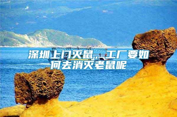 深圳上門滅鼠，工廠要如何去消滅老鼠呢