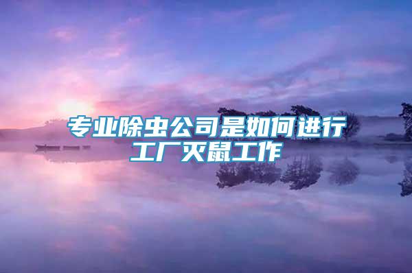 專業(yè)除蟲公司是如何進行工廠滅鼠工作