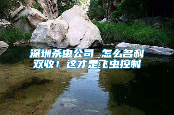 深圳殺蟲公司 怎么名利雙收！這才是飛蟲控制