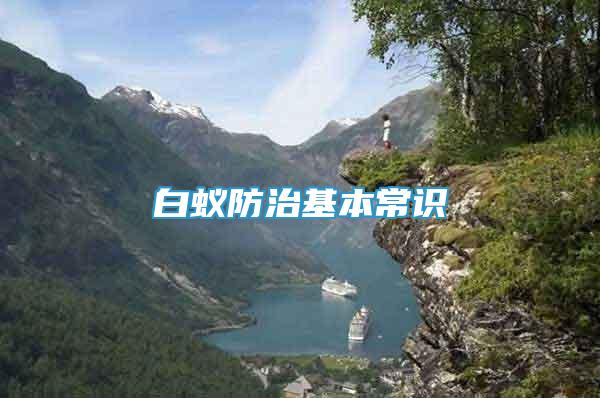 白蟻防治基本常識