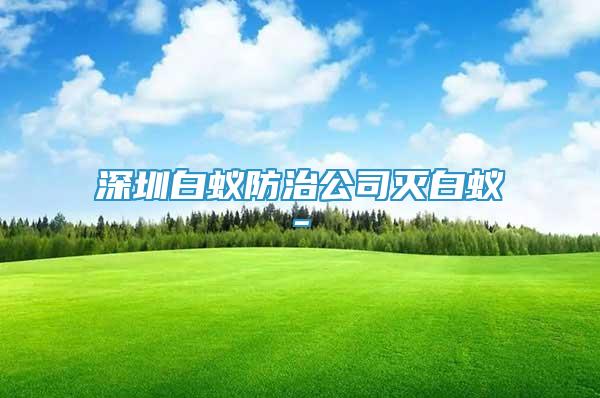 深圳白蟻防治公司滅白蟻-
