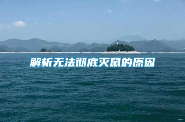 解析無法徹底滅鼠的原因