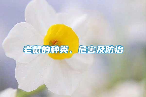 老鼠的種類、危害及防治