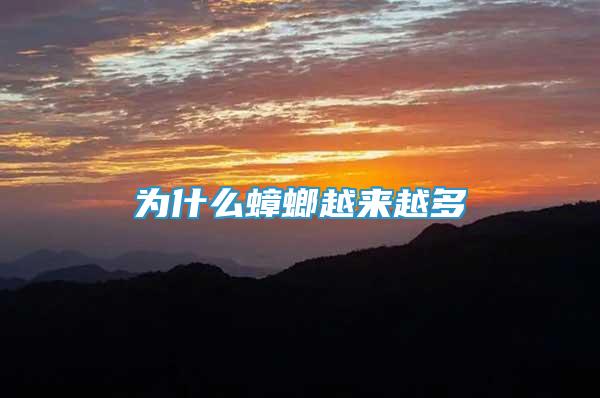 為什么蟑螂越來越多