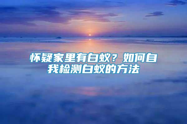 懷疑家里有白蟻？如何自我檢測白蟻的方法