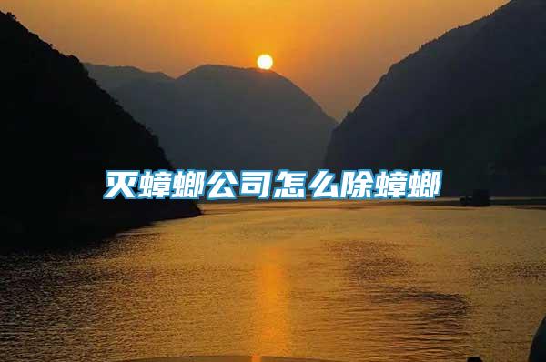 滅蟑螂公司怎么除蟑螂