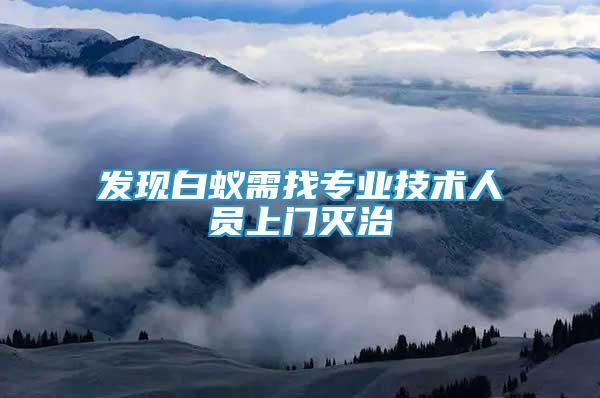 發(fā)現(xiàn)白蟻需找專業(yè)技術人員上門滅治