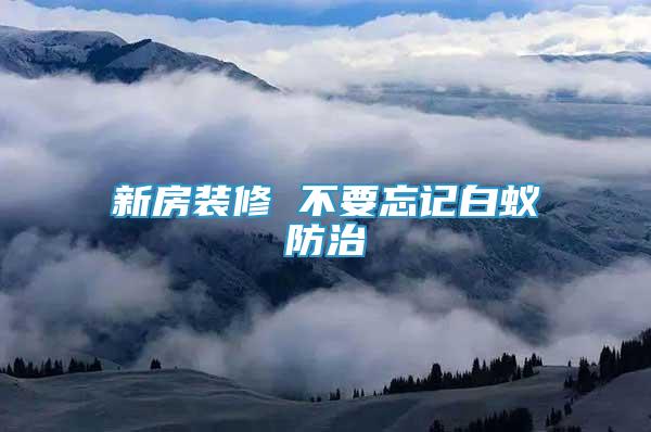 新房裝修 不要忘記白蟻防治