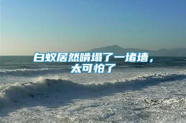 白蟻居然啃塌了一堵墻，太可怕了