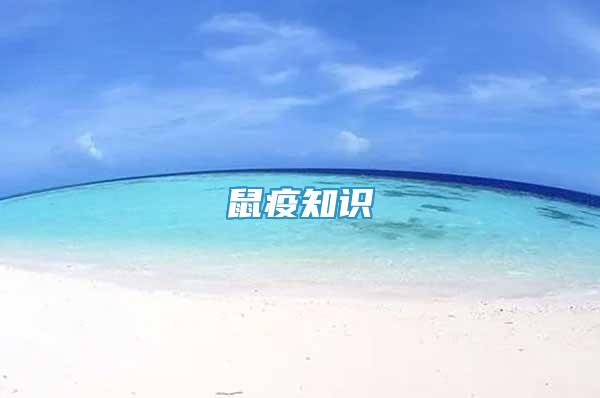 鼠疫知識