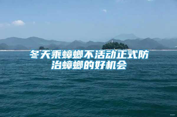 冬天乘蟑螂不活動正式防治蟑螂的好機(jī)會