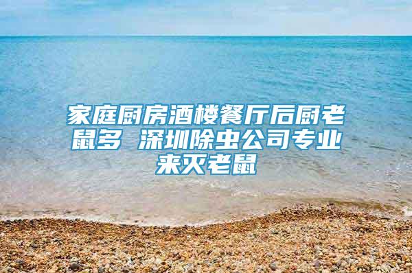 家庭廚房酒樓餐廳后廚老鼠多 深圳除蟲公司專業(yè)來滅老鼠