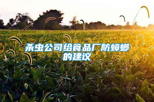 殺蟲公司給食品廠防蟑螂的建議