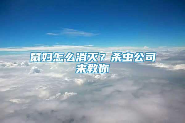 鼠婦怎么消滅？殺蟲公司來教你