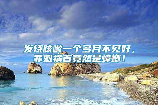 發(fā)燒咳嗽一個(gè)多月不見好，罪魁禍?zhǔn)拙谷皇求耄?/></p>
             <p style=