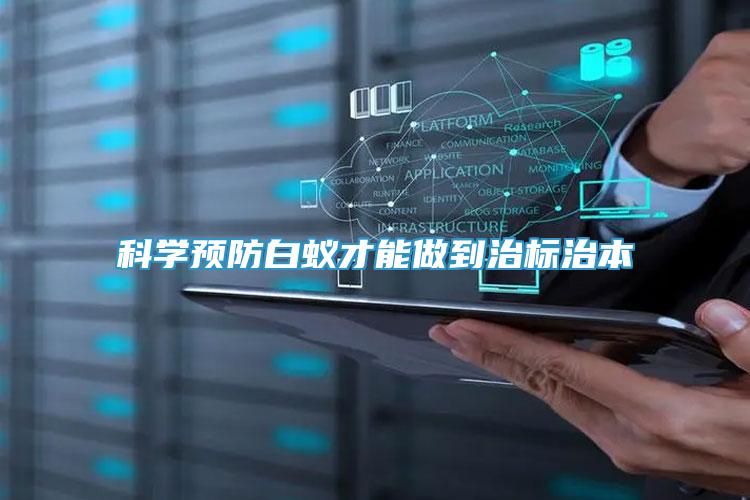 科學(xué)預(yù)防白蟻才能做到治標(biāo)治本