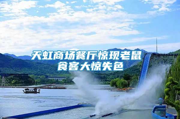 天虹商場餐廳驚現(xiàn)老鼠 食客大驚失色