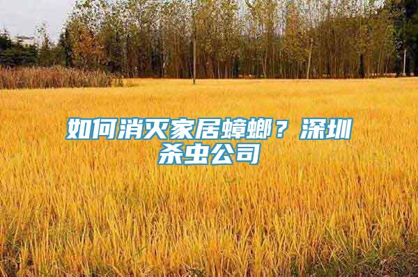 如何消滅家居蟑螂？深圳殺蟲公司