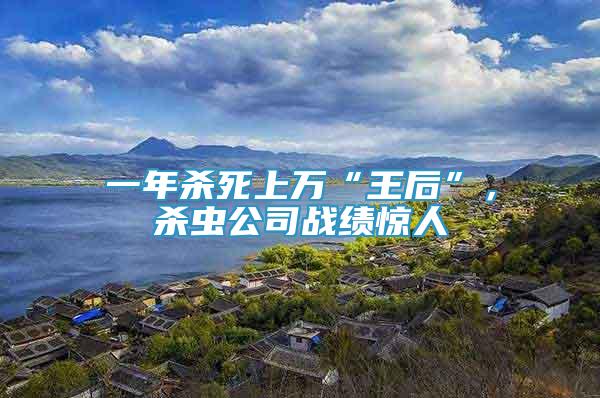 一年殺死上萬(wàn)“王后”，殺蟲公司戰(zhàn)績(jī)驚人