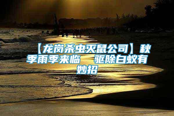 【龍崗殺蟲(chóng)滅鼠公司】秋季雨季來(lái)臨  驅(qū)除白蟻有妙招