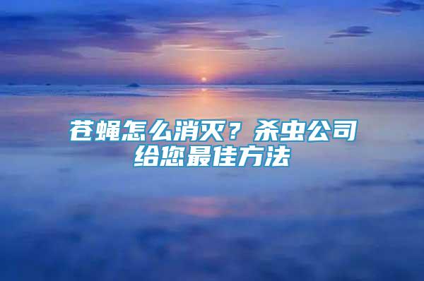 蒼蠅怎么消滅？殺蟲(chóng)公司給您最佳方法