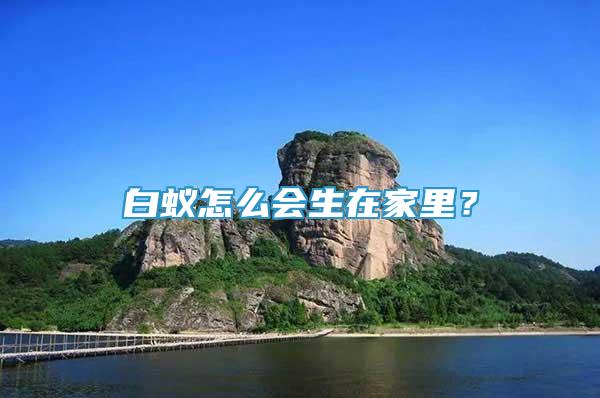 白蟻怎么會生在家里？